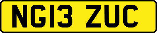 NG13ZUC