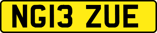NG13ZUE