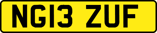 NG13ZUF