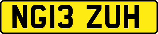 NG13ZUH
