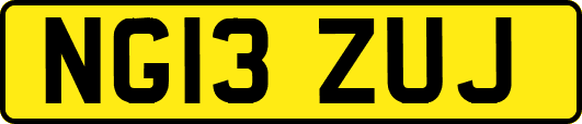 NG13ZUJ