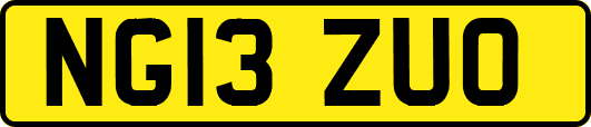 NG13ZUO