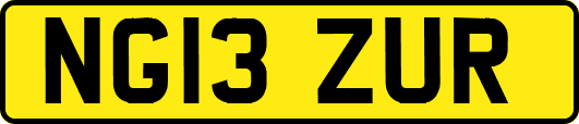 NG13ZUR
