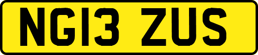 NG13ZUS
