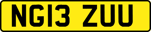 NG13ZUU