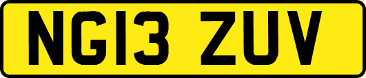 NG13ZUV