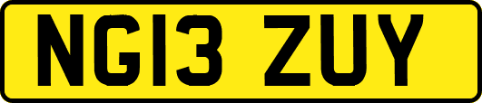 NG13ZUY