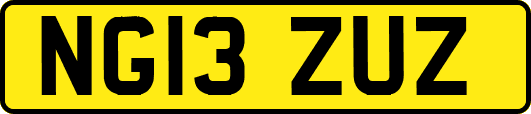 NG13ZUZ