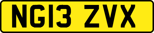 NG13ZVX
