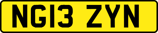 NG13ZYN