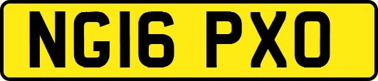 NG16PXO