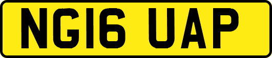 NG16UAP