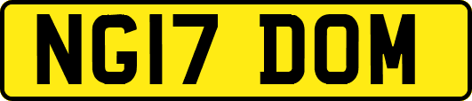NG17DOM