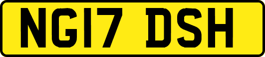 NG17DSH