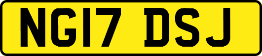 NG17DSJ