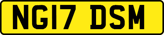 NG17DSM