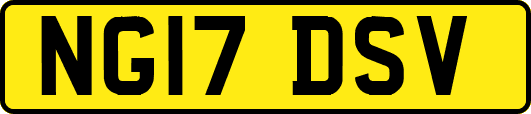 NG17DSV