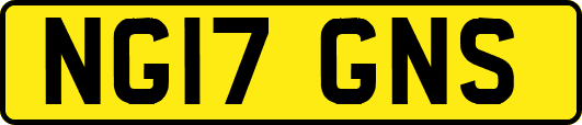 NG17GNS