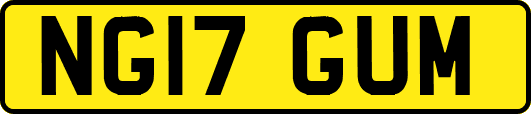 NG17GUM