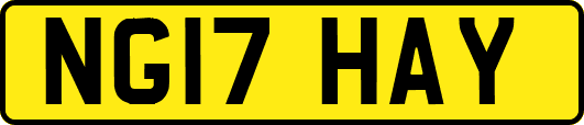 NG17HAY