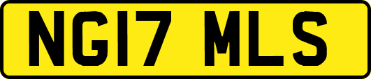 NG17MLS