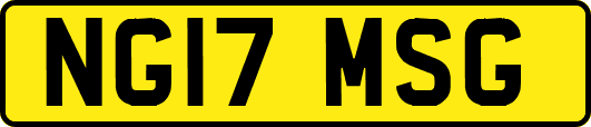 NG17MSG