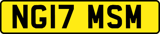 NG17MSM