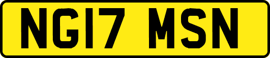 NG17MSN