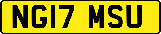 NG17MSU