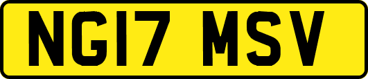 NG17MSV