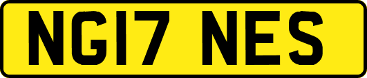 NG17NES