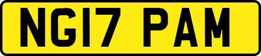 NG17PAM