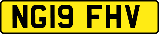NG19FHV