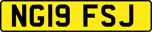 NG19FSJ