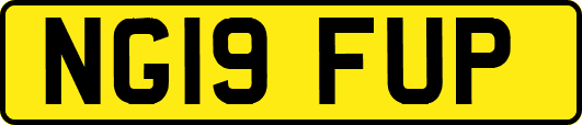 NG19FUP