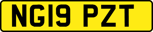 NG19PZT