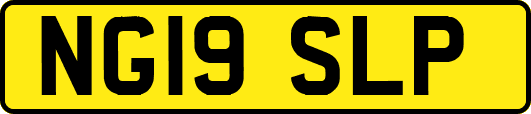 NG19SLP