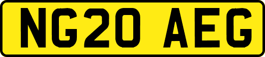 NG20AEG