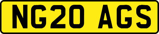 NG20AGS