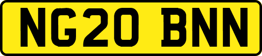 NG20BNN