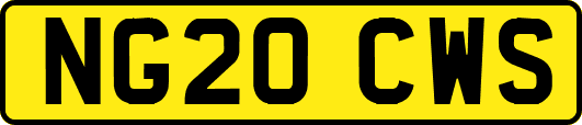 NG20CWS