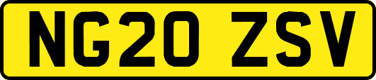 NG20ZSV