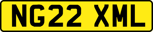 NG22XML
