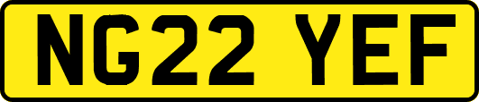 NG22YEF