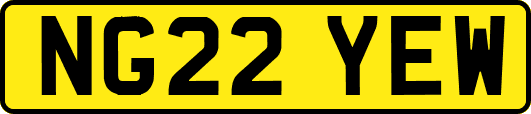NG22YEW