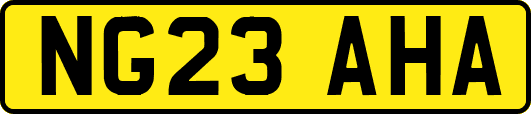 NG23AHA