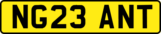 NG23ANT
