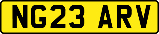 NG23ARV