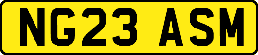 NG23ASM