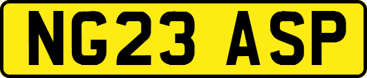NG23ASP